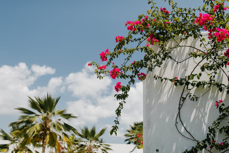 Pink Perfection: Growing and Decorating with Luna Rose Hardy Hibiscus