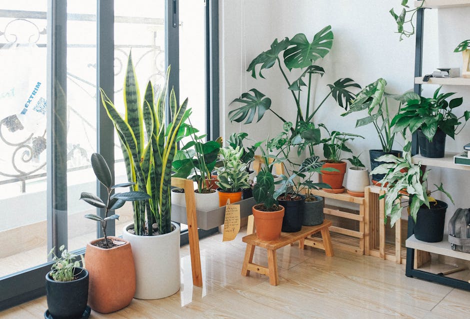 Incorporating Green Plants in Modern Interior Design