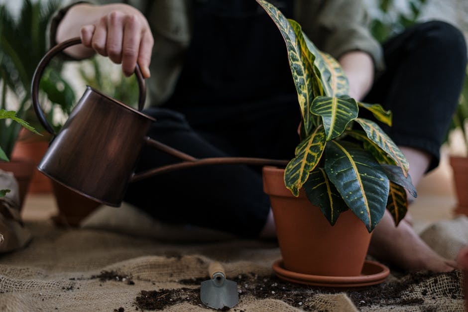 Snake Plant Watering Techniques for Optimal Growth